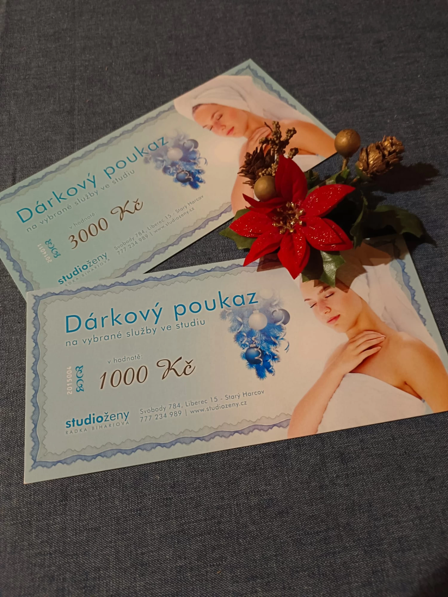 Radka Bihariová - Studio Ženy - obrázek 4