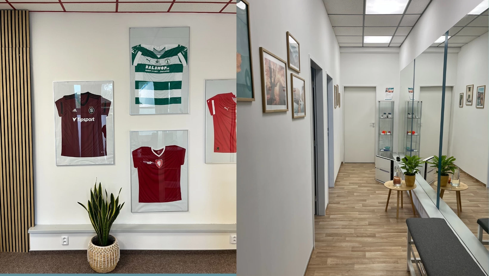 Zdravotní agentura, rehabilitace a masáže Fall & Get Up - obrázek 2