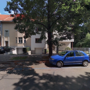 Kineziologie Gruza