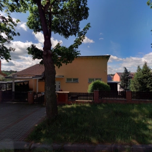 Tlapky.cz