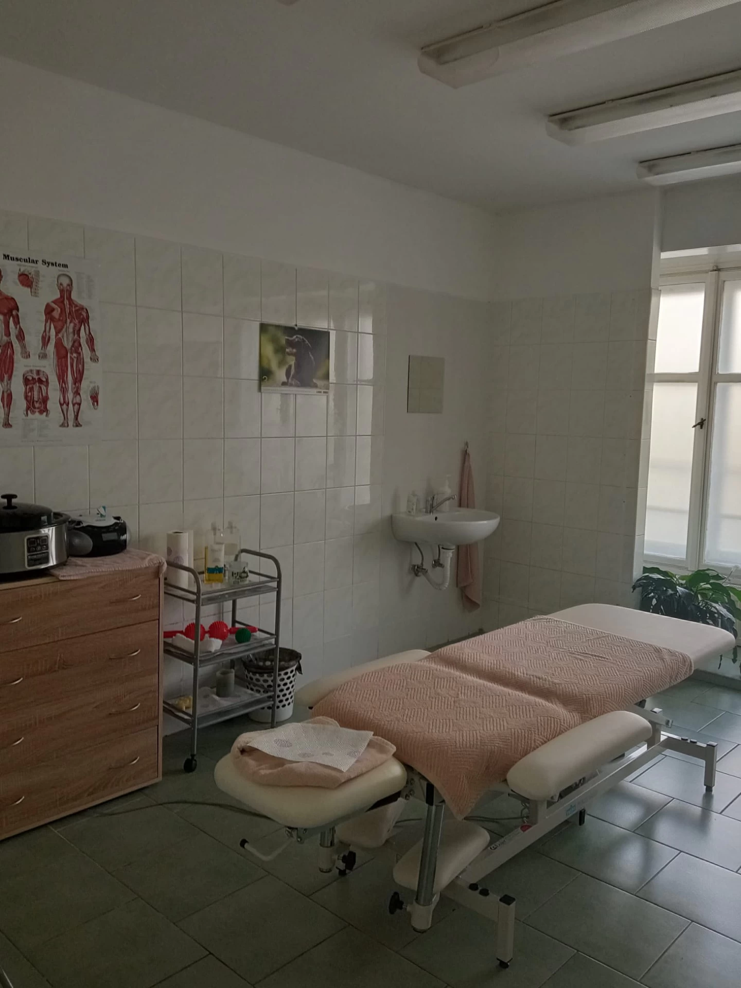 Masážní salon a pedikúra TyfloCentrum Ústí nad Labem o.p.s. - obrázek 3