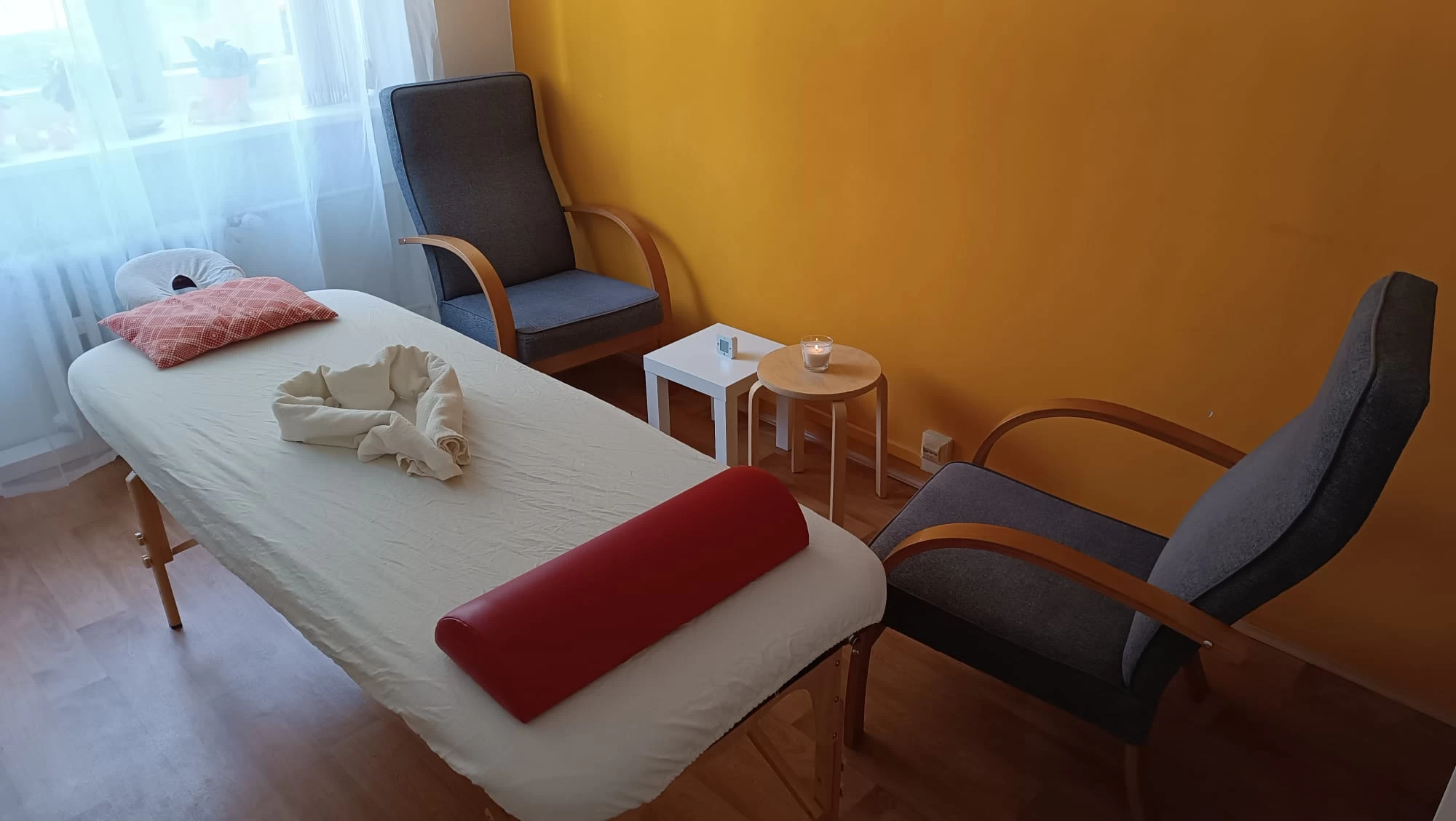 Ing. Olivia Zídková, Alfa salon - obrázek 2
