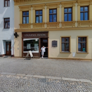 Dana Křížková