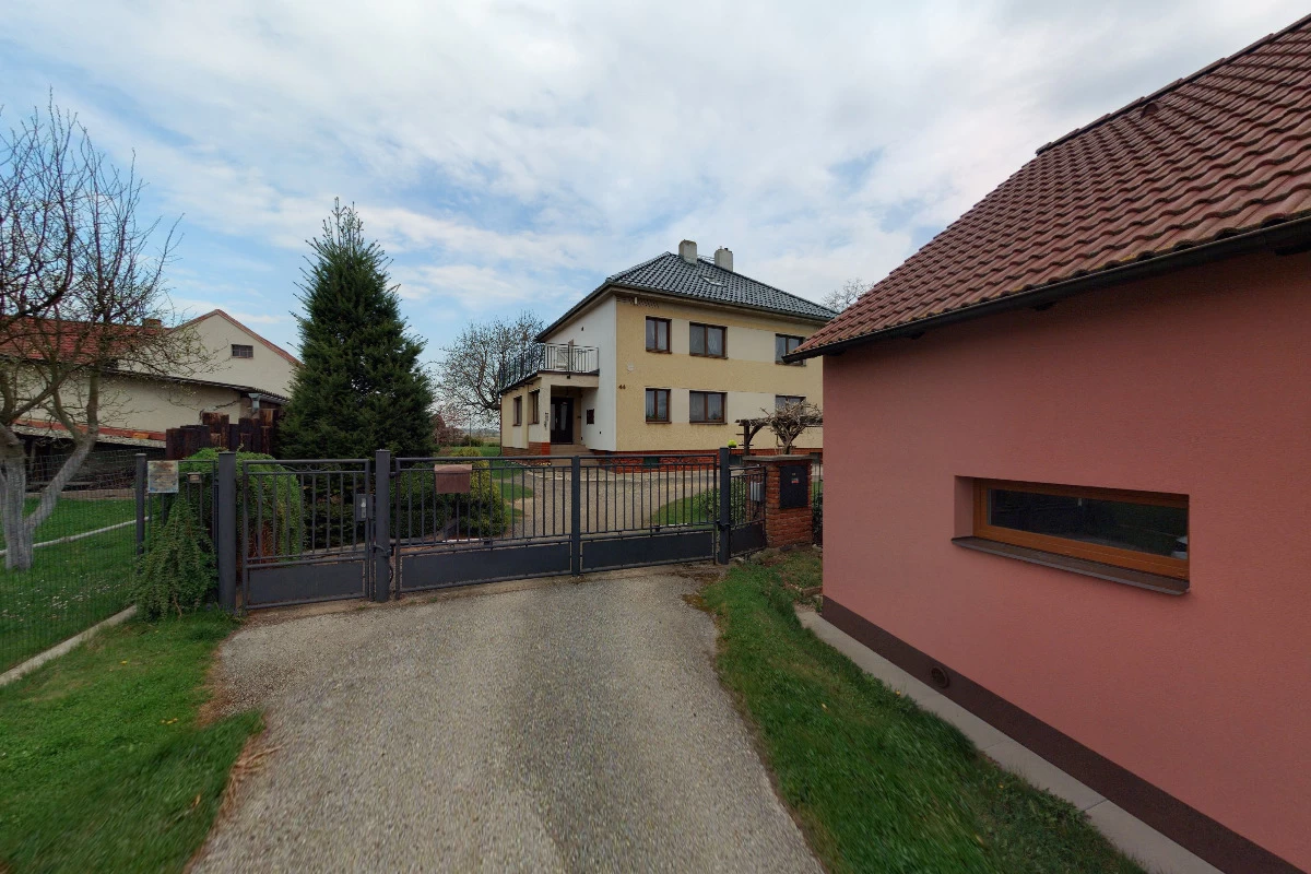 Hortenzie - obrázek 2