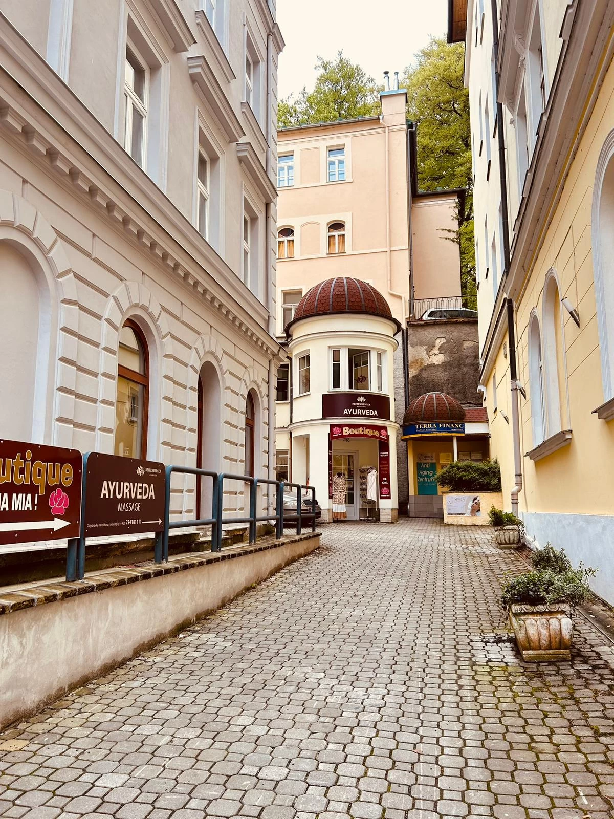 Reitenberger Ayurveda - obrázek 3