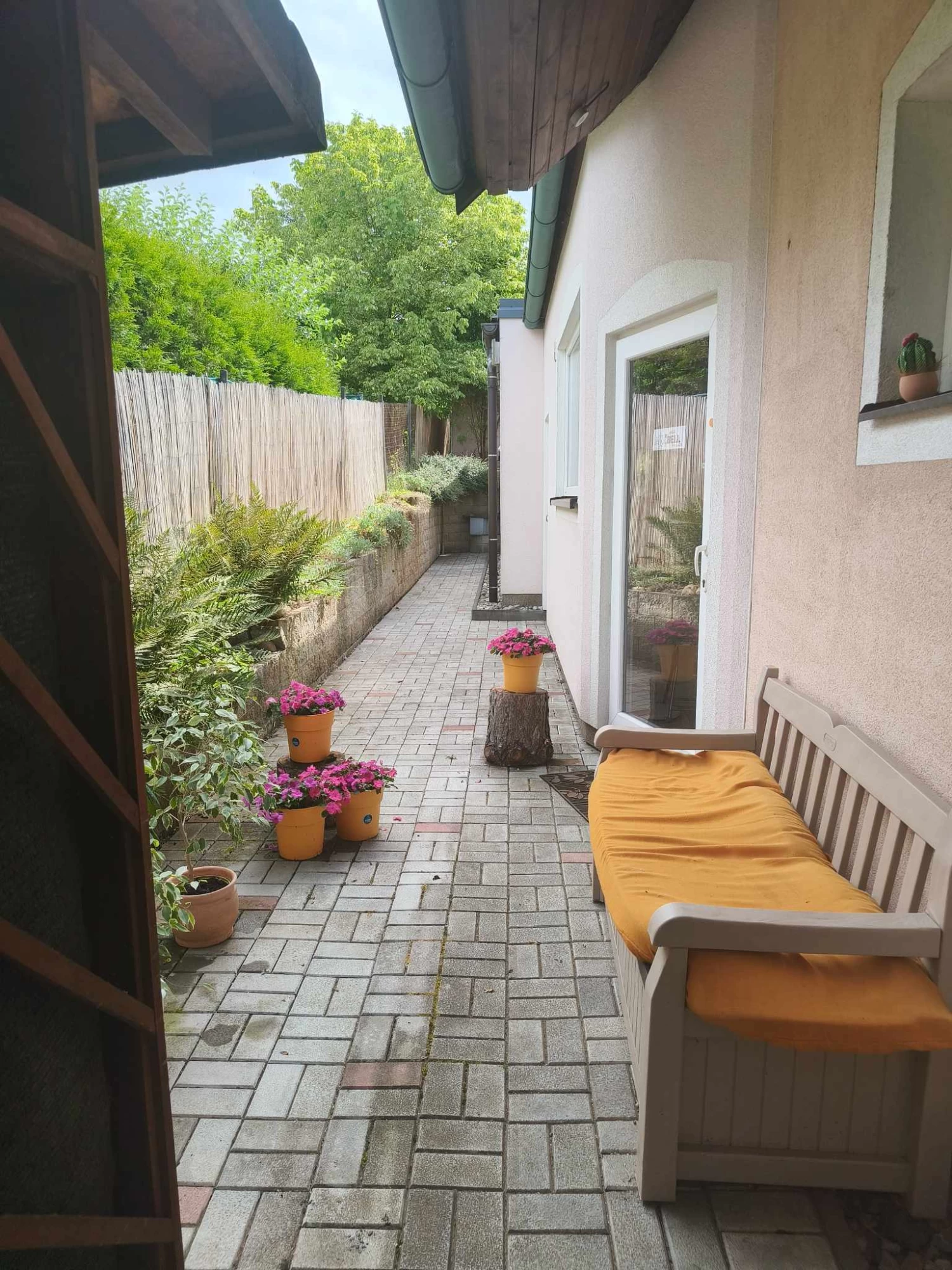 AXABELL - obrázek 4