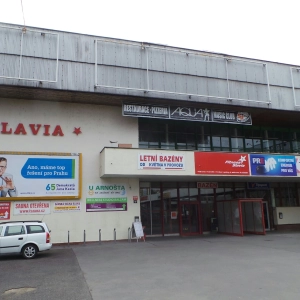 Vlastimil Mareš
