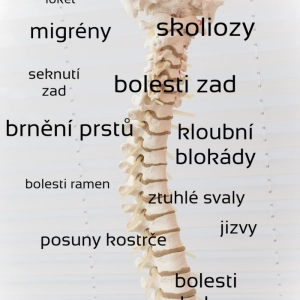 FyzioBeauty